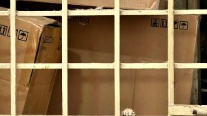 Cat peering out from behind stacked crates
